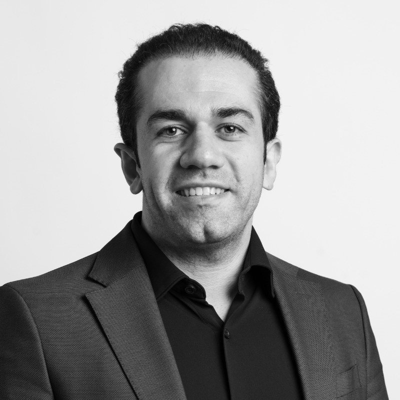 Portrait of Dr. Ehsan Zabardast